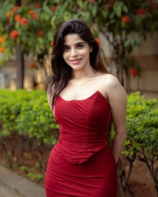 Vadodara Escort Services